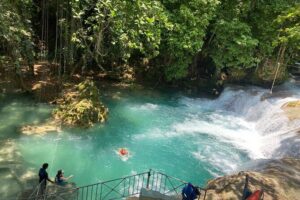 Full Day Rafting, Horse Back Riding and Blue Hole in Jamaica - Pickup, coconut water, and the kind of coordination that keeps you calm