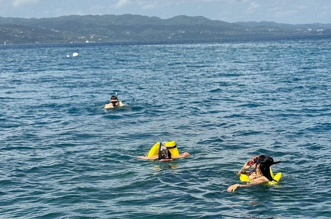 Glass bottom Boat Tour and Snorkeling Experience in Montego Bay - Price of $110: Is It Worth It?