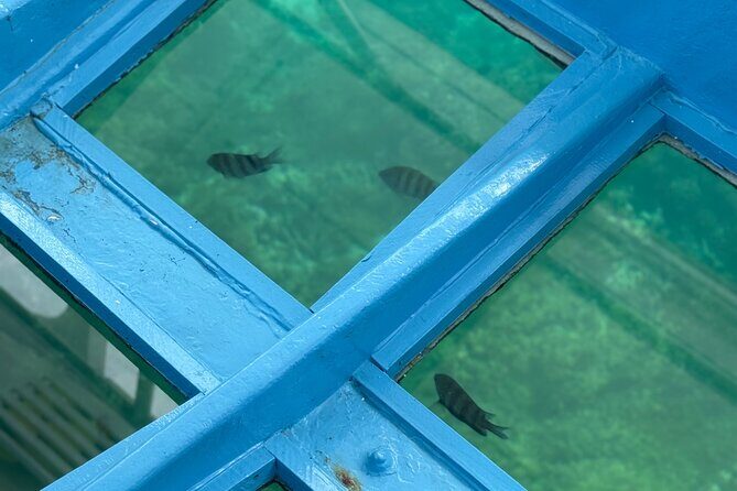 Glass bottom Boat Tour and Snorkeling Experience in Montego Bay - Practical Tips to Make the 2 Hours Go Smoothly