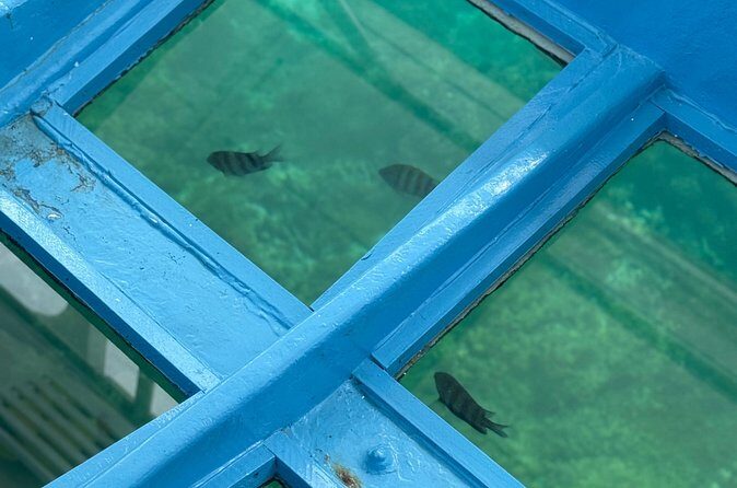 Glass bottom Boat Tour and Snorkeling Experience in Montego Bay - Should You Book This Glass-Bottom Boat and Snorkeling Tour?