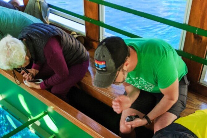Glass Bottom Boat Water Activity in Montego Bay Jamaica - What you’ll actually see through the glass