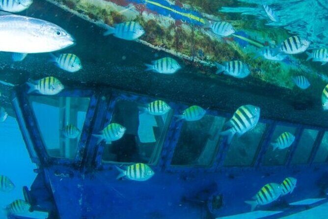 Glass Bottom Boat Water Activity in Montego Bay Jamaica - Capt Dan and Trey’s briefing: the part people remember