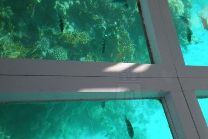 Glass Bottom Boat Water Activity in Montego Bay Jamaica - Montego Bay energy: beach day vibes plus reggae in the background