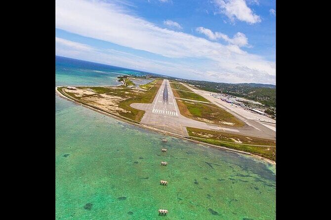 Grand Bahia / Luxury Bahia Principe Private Airport Transfer - What the Reviews Say You Should Expect From the Driver