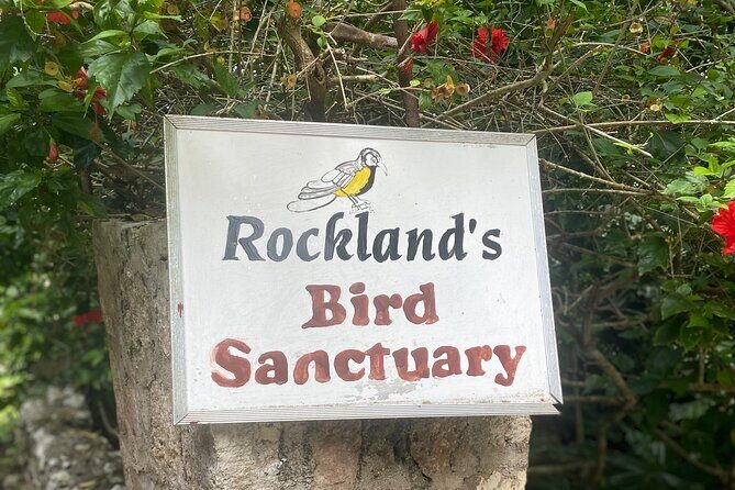 Great River Bamboo Rafting and Bird Sanctuary Combine Tour From Montego Bay - What to expect at the sanctuary (and how to make it easier)