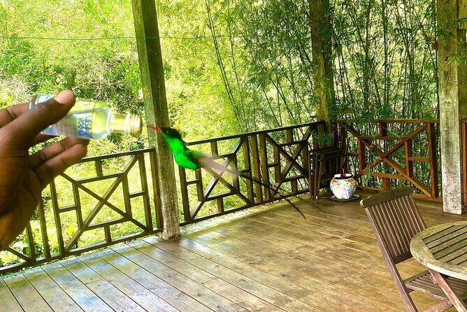 Great River Bamboo Rafting and Bird Sanctuary Combine Tour From Montego Bay - The limestone body massage: what it adds to the day