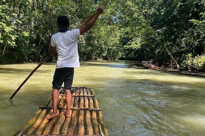 Great River Bamboo Rafting and Bird Sanctuary Combine Tour From Montego Bay - Stop 1: Rocklands Bird Sanctuary at Lethe (bird time that’s actually photo-friendly)
