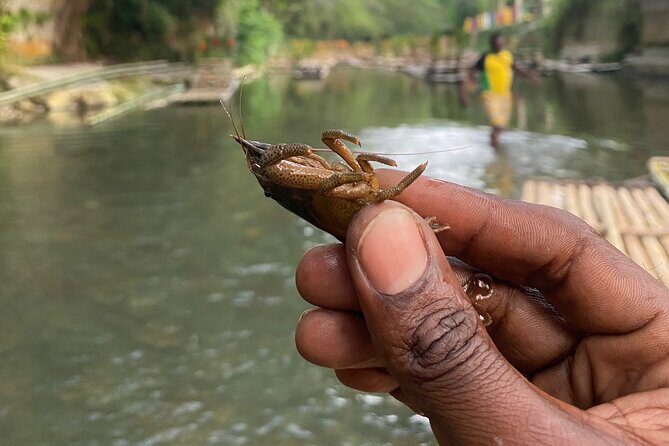 Great River Rafting - Limestone Foot Massage and ATV Rides From Montego Bay - Price and Value: Is $120 a Good Deal?