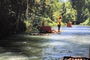 Half-Day Private Martha Brae Rafting Tour from Montego Bay - Trelawny Parish herb garden: why this stop is more than a souvenir stop