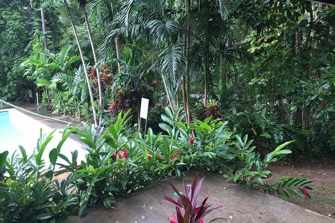 Half-Day Private Martha Brae Rafting Tour from Montego Bay - Transportation and timing: how this fits a Montego Bay schedule