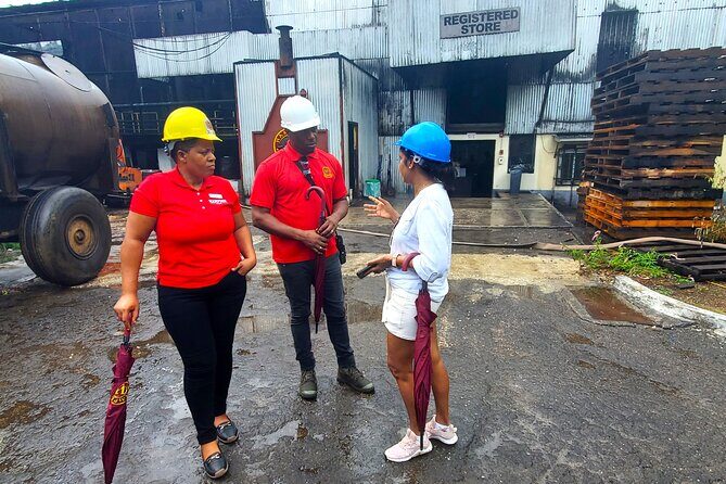 Hampden Estate Rum Tour and Lunch from Montego Bay - Price and value: is $195 fair for 5 hours of rum, food, and pickup?