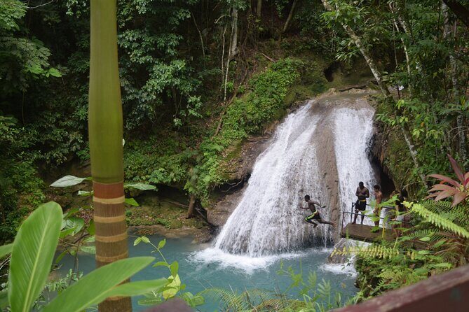 Horse Back Riding and Blue Hole From Montego Bay - A nature-first day from Montego Bay