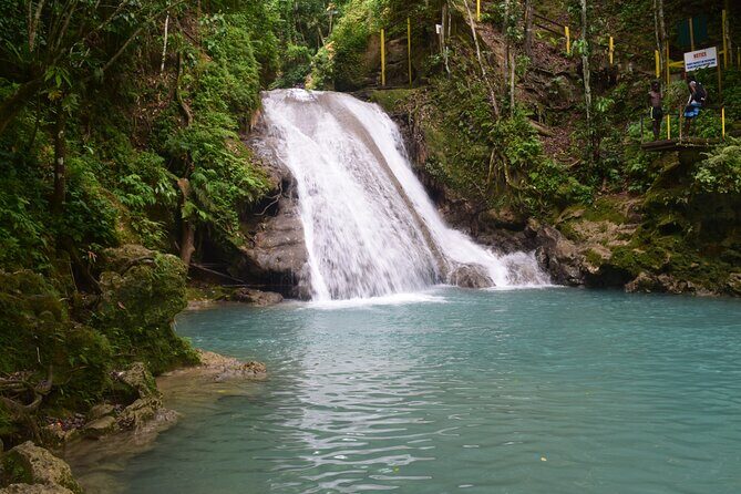 Horse Back Riding and Blue Hole From Montego Bay - Blue Hole: waterfalls, mineral water, and cliff-jump options