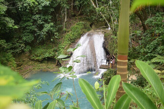 Horse Back Riding and Blue Hole From Montego Bay - Price and logistics: what $160 gets you