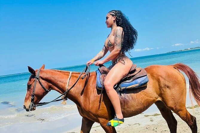 Horseback Ride and Swim Experience Montego with Transportation - Key Highlights You Should Know