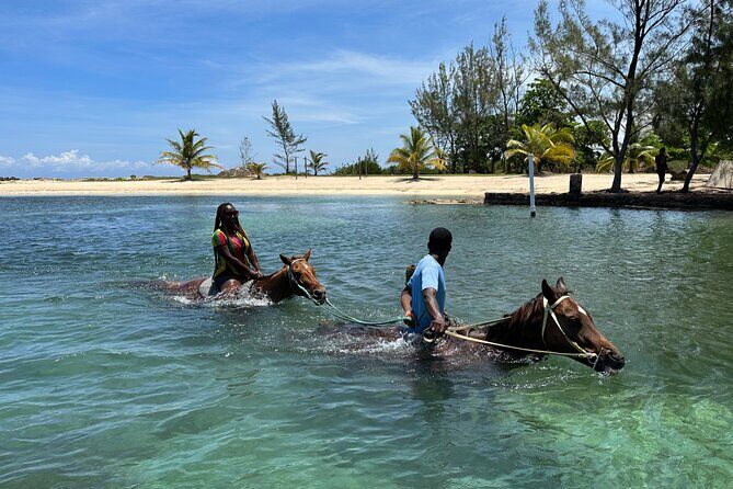 Horseback Ride and Swim Guided Tour from Montego Bay - Why This Montego Bay Horseback-and-Swim Setup Works