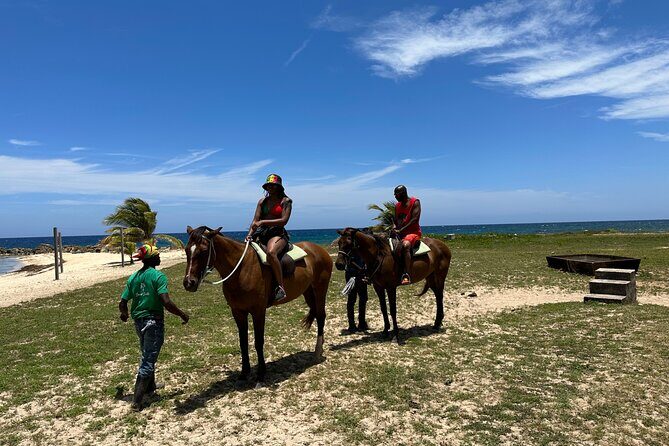 Horseback Ride and Swim Guided Tour from Montego Bay - The Caribbean Sea Swim (Bareback) Is the Main Event