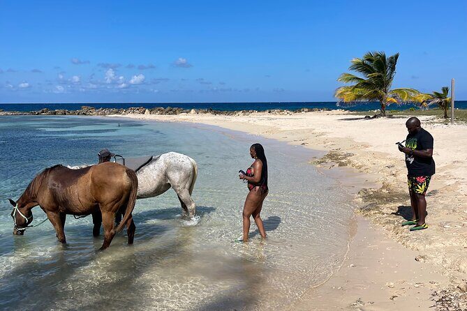 Horseback Ride and Swim Guided Tour from Montego Bay - Price and Value: Is $160 Reasonable for This Day?