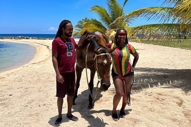 Horseback Ride and Swim Guided Tour from Montego Bay - Who This Horseback Ride and Swim Suits Best
