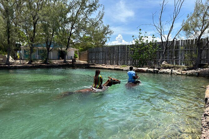 Horseback Ride and Swim Guided Tour from Montego Bay - What to Bring (So You’re Ready for the Saddle and the Water)