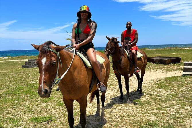 Horseback Ride and Swim Guided Tour from Montego Bay - Meeting Point, Pickup, and How the Timing Feels