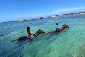 Horseback Ride and Swim Tour In Montego Bay - The Scenic 1-Hour Ride Through Farmlands