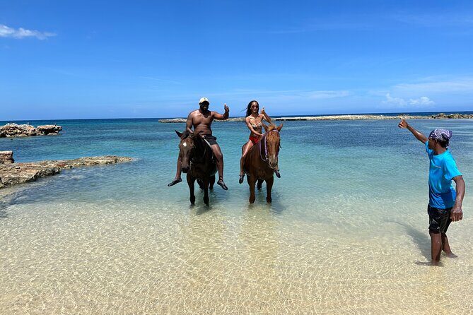 Horseback Ride and Swim Tour In Montego Bay - Price and Value: What $170 Buys You in Montego Bay