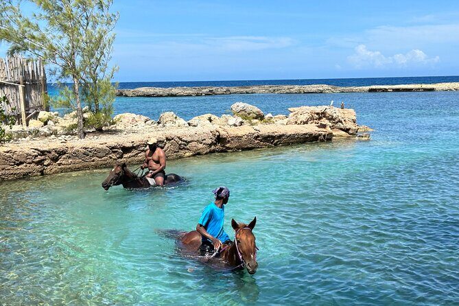 Horseback Ride and Swim Tour In Montego Bay - Who This Tour Suits Best (and Who Might Want Something Else)