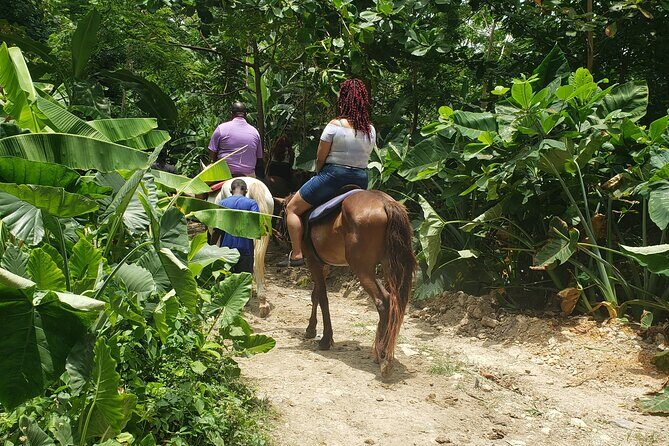 Horseback 'Ride N Swim' & Dunns River Falls from Montego Bay - Getting From Montego Bay: Pickup That Keeps Your Day Smooth