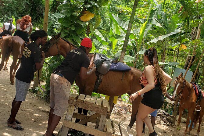 Horseback 'Ride N Swim' & Dunns River Falls from Montego Bay - Dunn’s River Falls: Where to Spend Your 60 Minutes
