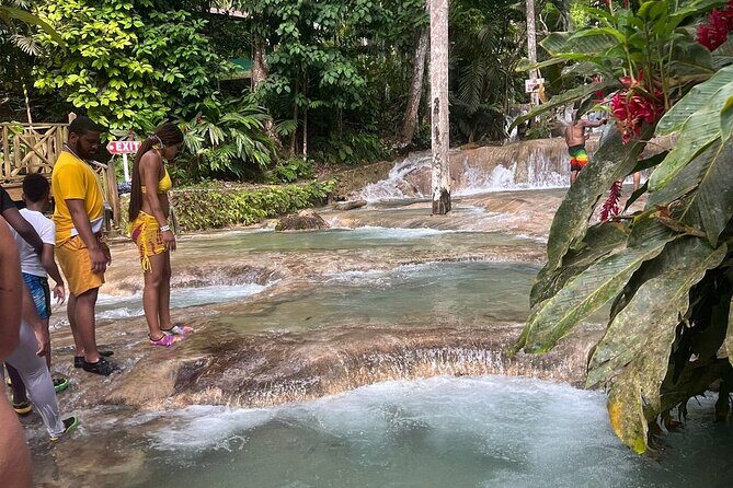 Horseback 'Ride N Swim' & Dunns River Falls from Montego Bay - Should You Book This Horseback Ride & Dunn’s River Falls Tour?