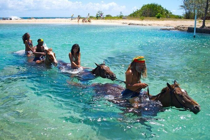 Horseback Ride & Swim Jamaica/Montego Bay - Key Things You’ll Notice on This Ride