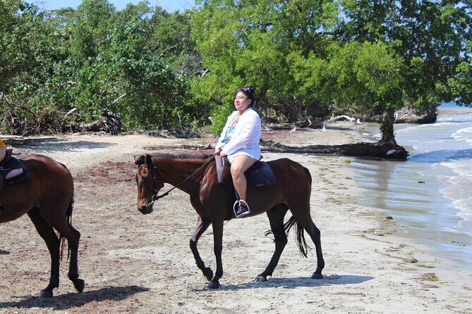 Horseback Ride & Swim Jamaica/Montego Bay - The Beach and Swim Part: Warm Water With a Real Guide Nearby