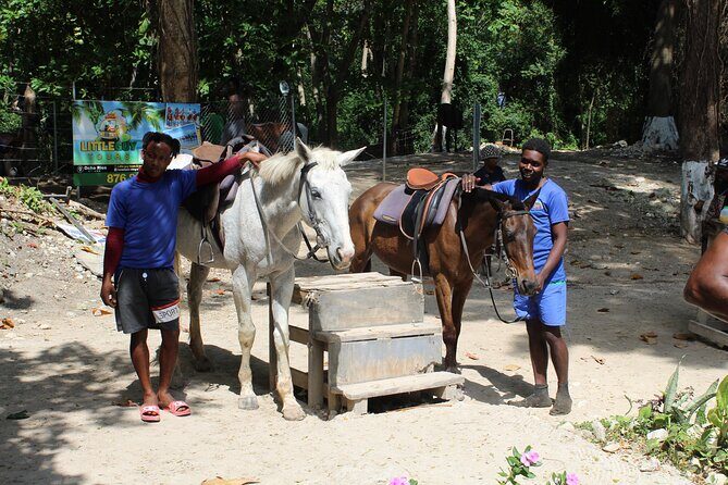 Horseback Ride & Swim Jamaica/Montego Bay - Price and Value: Does $150 Make Sense for 3 Hours?