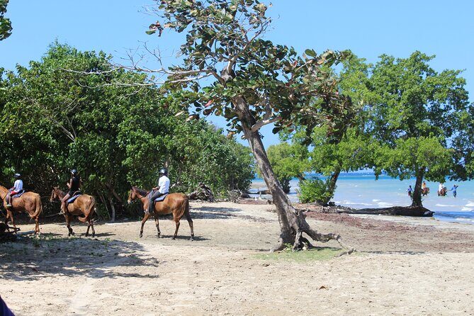 Horseback Ride & Swim Jamaica/Montego Bay - Timing Tips: What to Do the Day You Ride and Swim