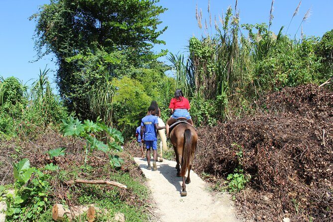Horseback Ride & Swim Jamaica/Montego Bay - Who This Tour Fits Best (and Who Might Reconsider)