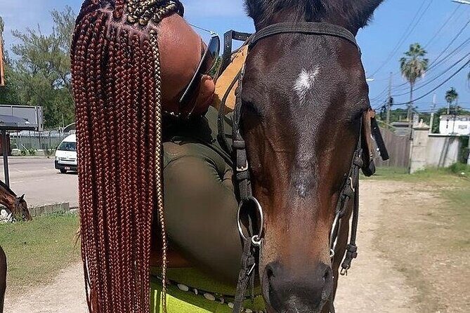 Horseback Riding, ATV and Ocean Zip lining combo from Montego Bay - Price and Value: Is $340 a Good Deal Here?