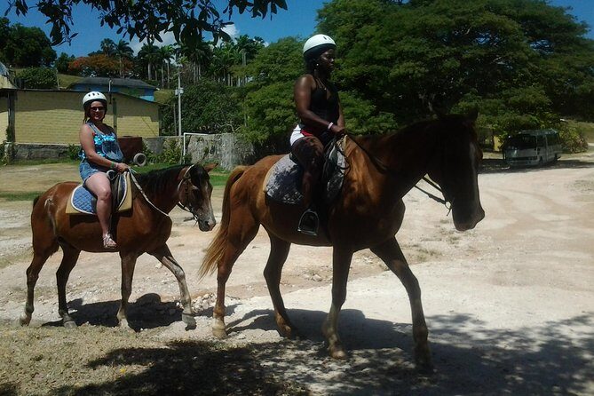 Horseback Riding Dunn's River Falls Adventure from Montego Bay - Key things that make this tour worth your time