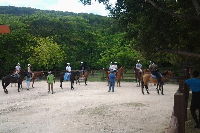 Horseback Riding Dunn's River Falls Adventure from Montego Bay - The water and beach segment: how to manage expectations