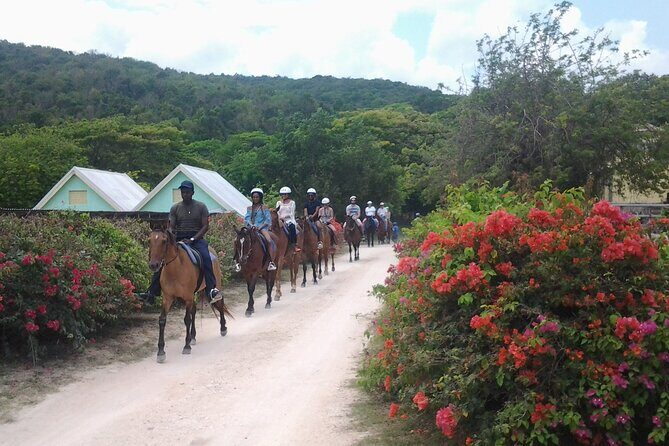 Horseback Riding Dunn's River Falls Adventure from Montego Bay - Small group advantage: why max 15 travelers matters