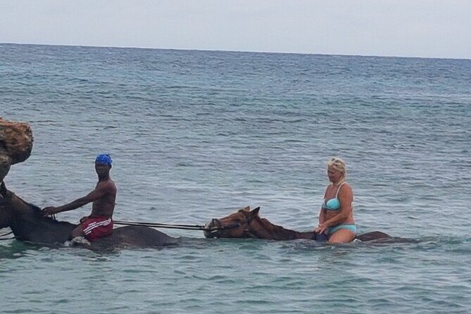 Horseback Riding Dunn's River Falls Adventure from Montego Bay - Price and value: is $186.35 a fair deal for this combo?