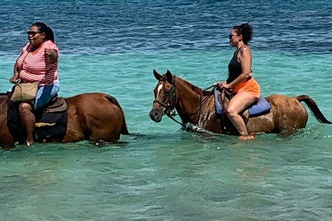 Horseback Riding from Montego Bay - The Scenic North Coast Drive From Montego Bay