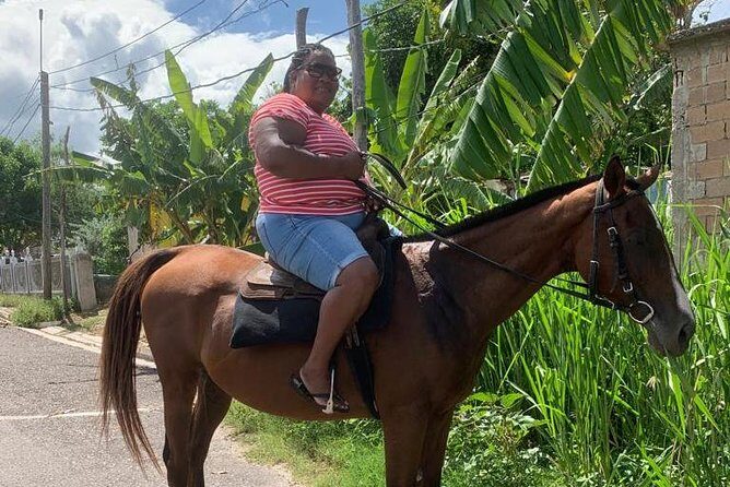 Horseback Riding from Montego Bay - Beach Riding and the Swim With Your Horse