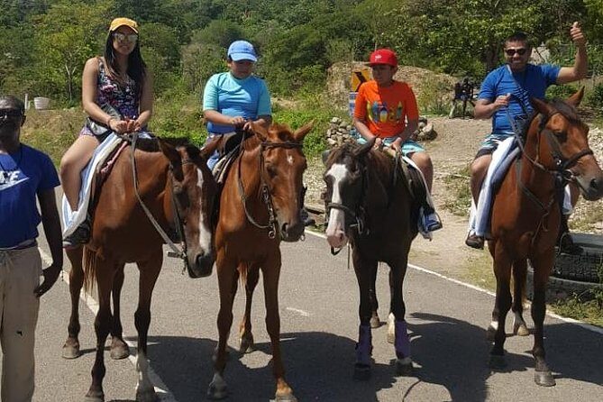 Horseback Riding from Montego Bay - How the Timing Works in Real Life