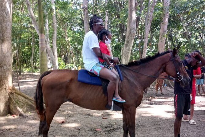Horseback Riding plus Dunns River Falls Combo Private Tour - St. Ann’s Bay Horseback Riding Association: A Sea-Side Ride in 1 Hour