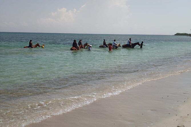Horseback Riding plus Dunns River Falls Combo Private Tour - The One Caution: Expect Some Variability in the Horse Stop
