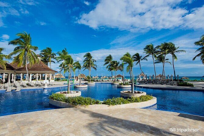 Hyatt Zilara Rose Hall Resort Private Airport Transfer - The Return Trip: A Simple Plan for Your Flight Day