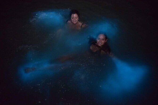 Island Surfers Bioluminous Tour - From Pickup to Night Swim: Small-Group Comfort with Island Surfers