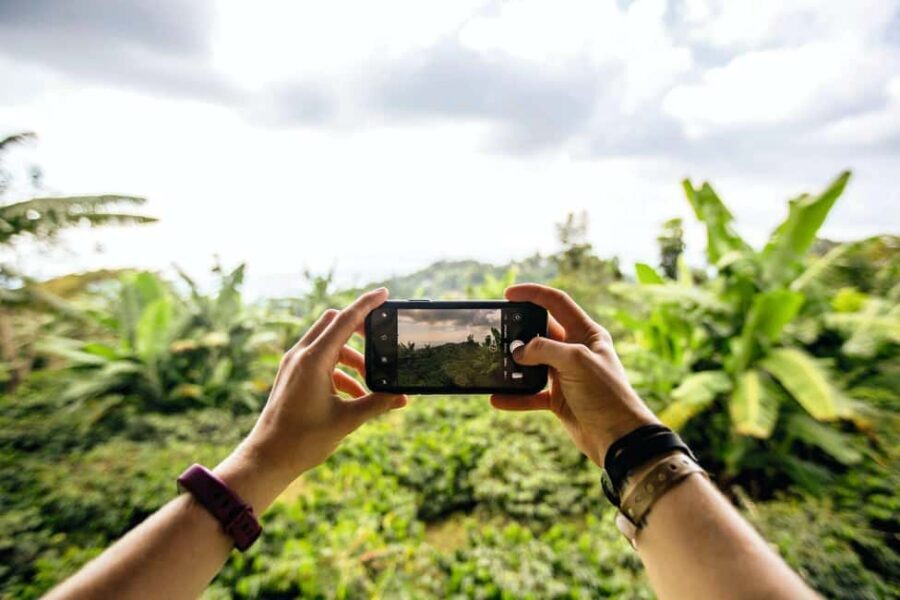 Jamaica: Blue Mountains Full Day Tour with Brunch & Lunch - Key moments that make the day worth it