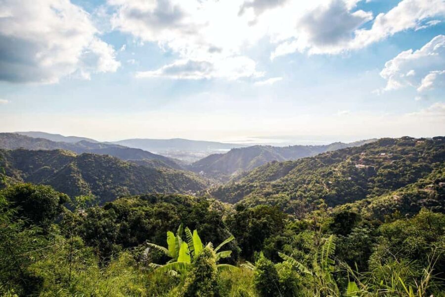Jamaica: Blue Mountains Full Day Tour with Brunch & Lunch - From pickup to your mountain-base day flow